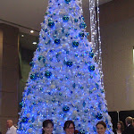 DSC01785.jpg