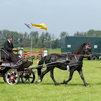 60D_00602.jpg