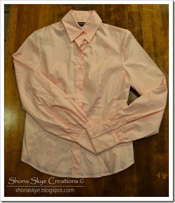 Shona Skye Creations - Goodwill Hunting 2013-01-14 (3)