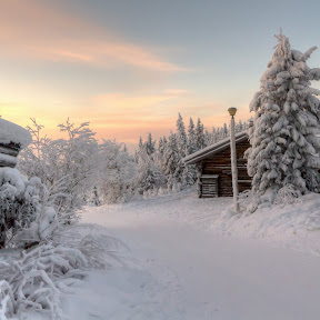 Winter Wonderland