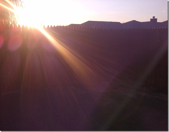 IMG-20110821-02784
