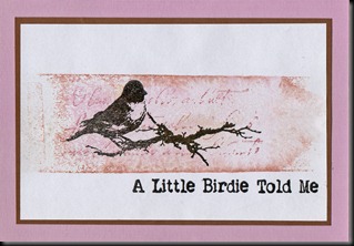 a little birdie a little birdie
