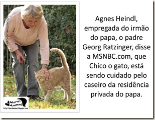 papa_ama_gatos (4)