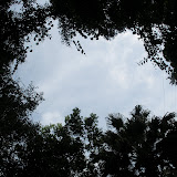 P7120314.JPG
