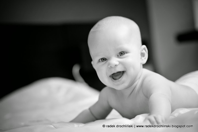 Jul_S_388 Jul_S_388