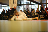 IMG_1196.jpg