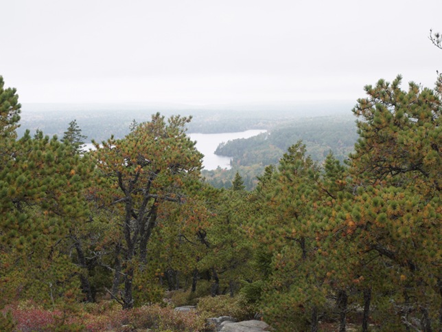 BH_hike_11 BH_hike_11