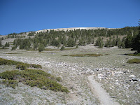 Wheeler Peak trail Photo