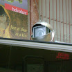 DSC00614.JPG