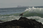 878-7825_IMG.JPG
