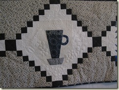 IMG_2856 IMG_2856