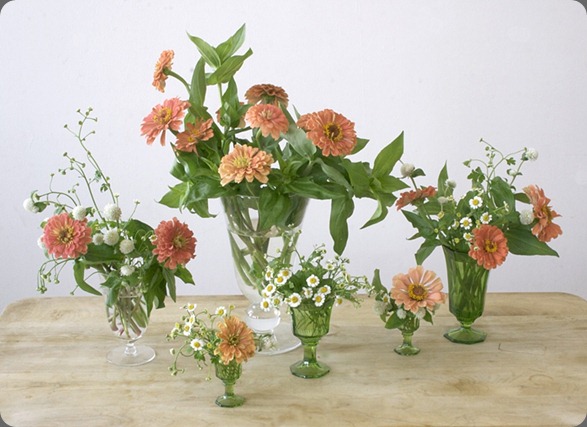 984x588-a7_kQjc0BnCo5qPn ariel dearie flowers