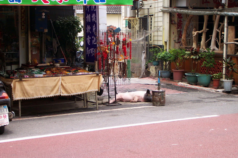 pic33.jpg