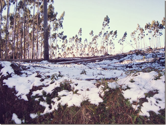 rio do sul neve_02 rio do sul neve_02
