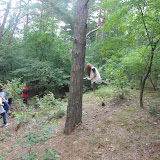 DSC02439.JPG
