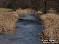 dsc07535.jpg