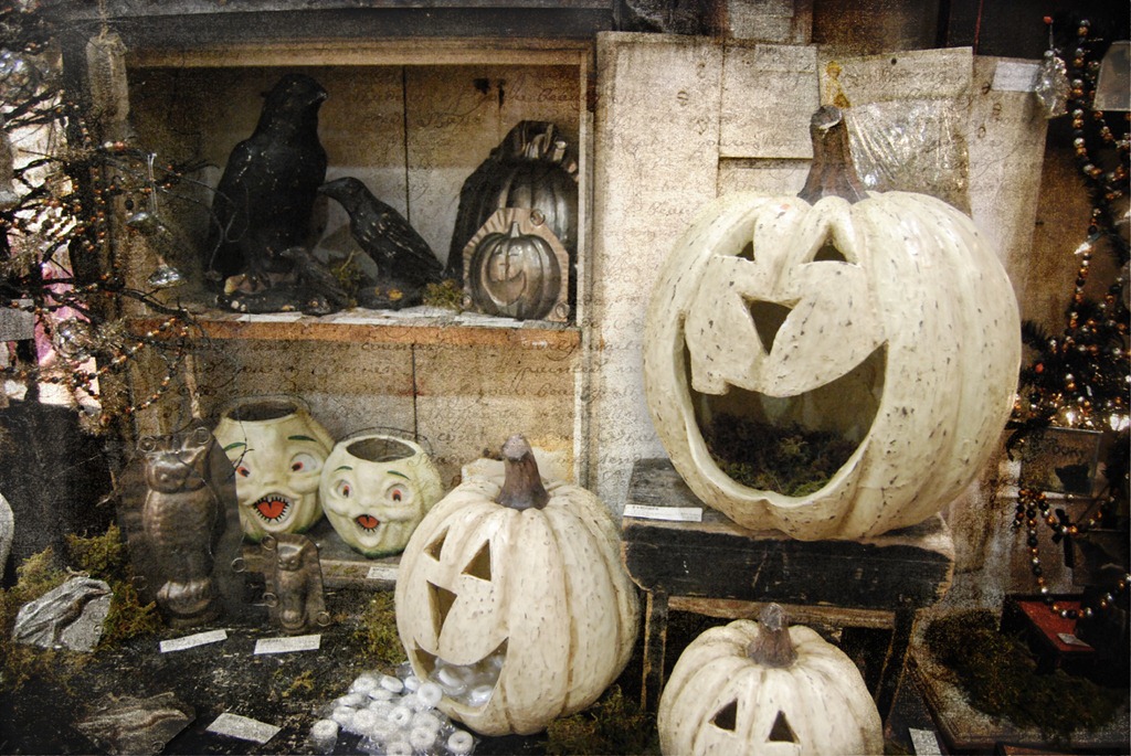 [pumpkins%255B7%255D.jpg]