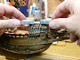 mayflower_070.jpg