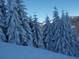 20100116_008.jpg