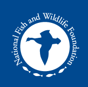 national fish and wildlife foundation, fedex, environment, sustainability, fedex corp