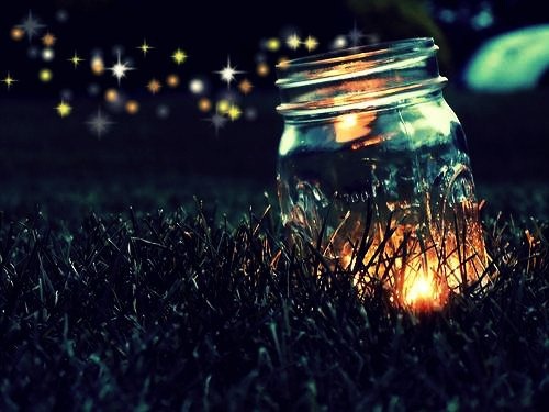 [fireflies%255B5%255D.jpg]