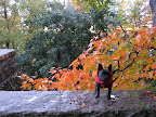Autumn in Acadia National Park