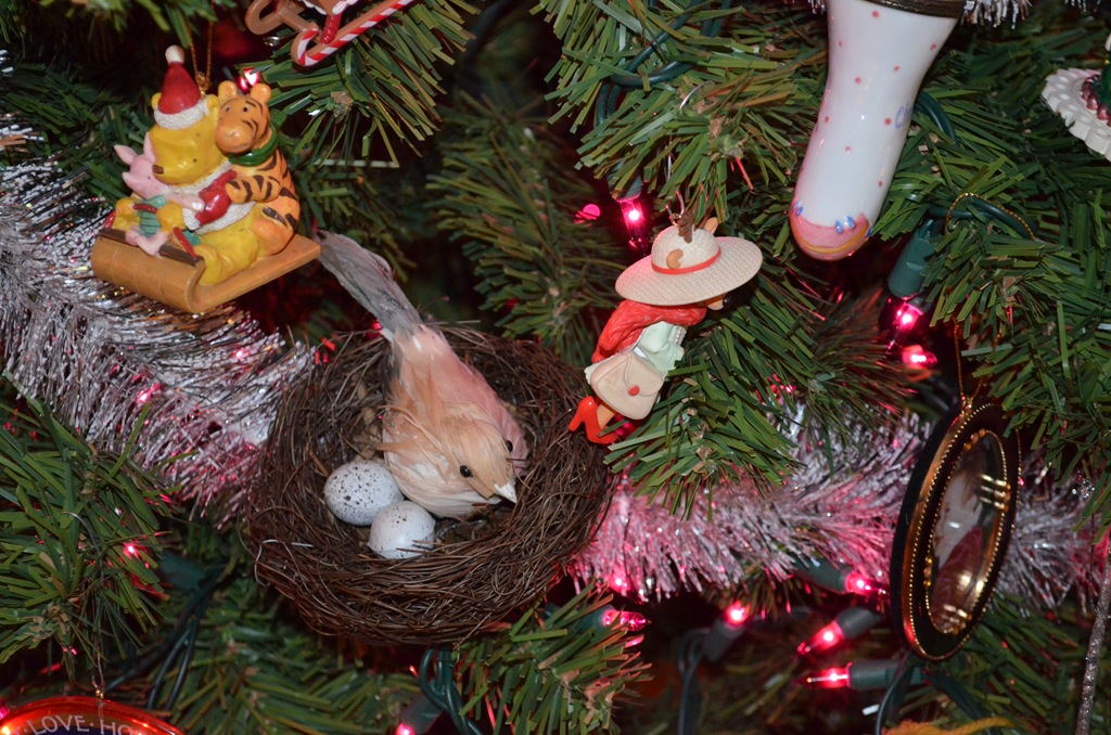 [DSC_0024%255B6%255D.jpg]