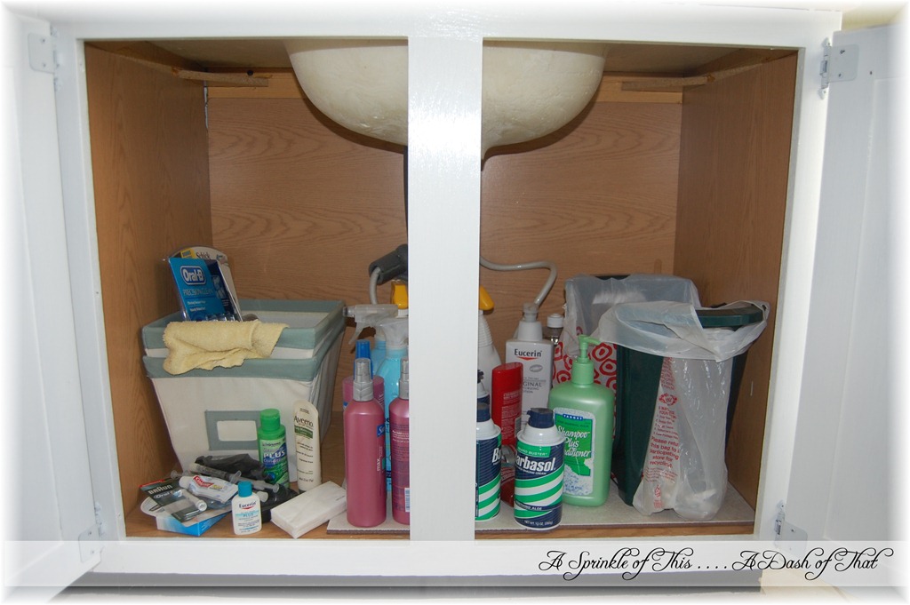[master-bath-vanity-right-side-before%255B2%255D.jpg]