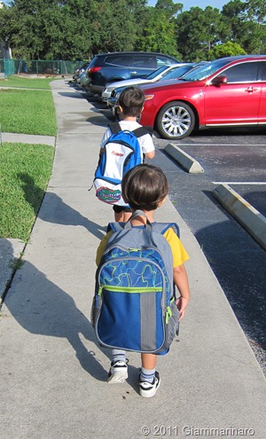 IMG_0452 IMG_0452