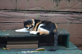 DSC_0940.JPG
