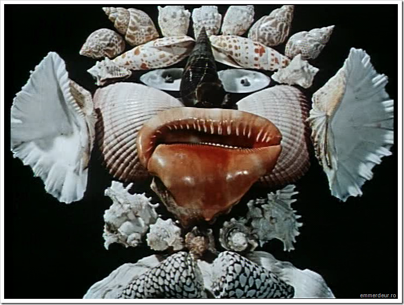 jan svankmajer historia naturae emmerdeur_30 jan svankmajer historia naturae emmerdeur_30