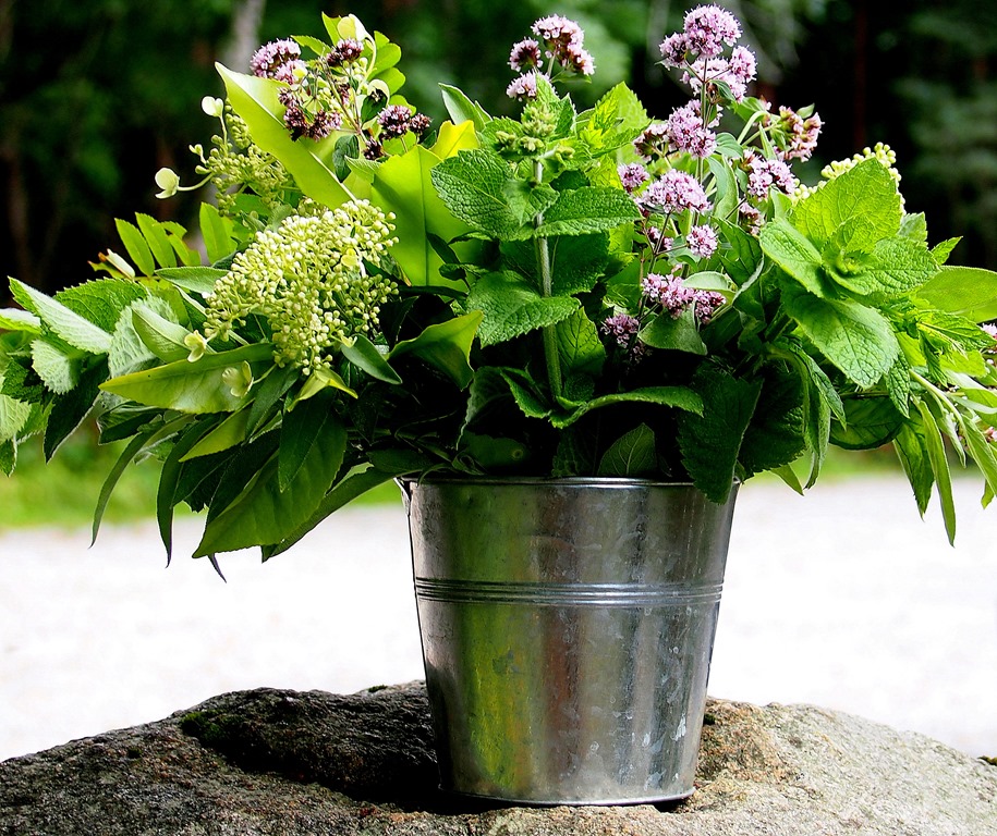 [22%2520July%25201%255B3%255D.jpg]