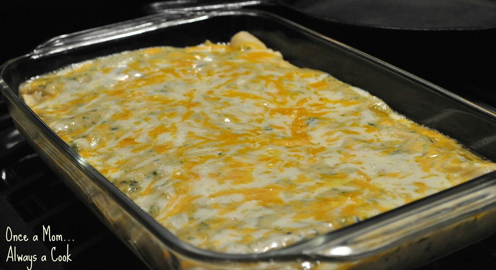 [Chicken%2520Enchiladas%2520with%2520a%2520Cream%2520of%2520Jalapeno%2520Sauce%2520Right%2520Out%2520of%2520the%2520Oven%255B5%255D.jpg]