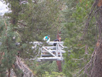 BSA 50 Miler Aug 09 038.JPG