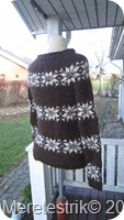 IMG_1493 IMG_1493