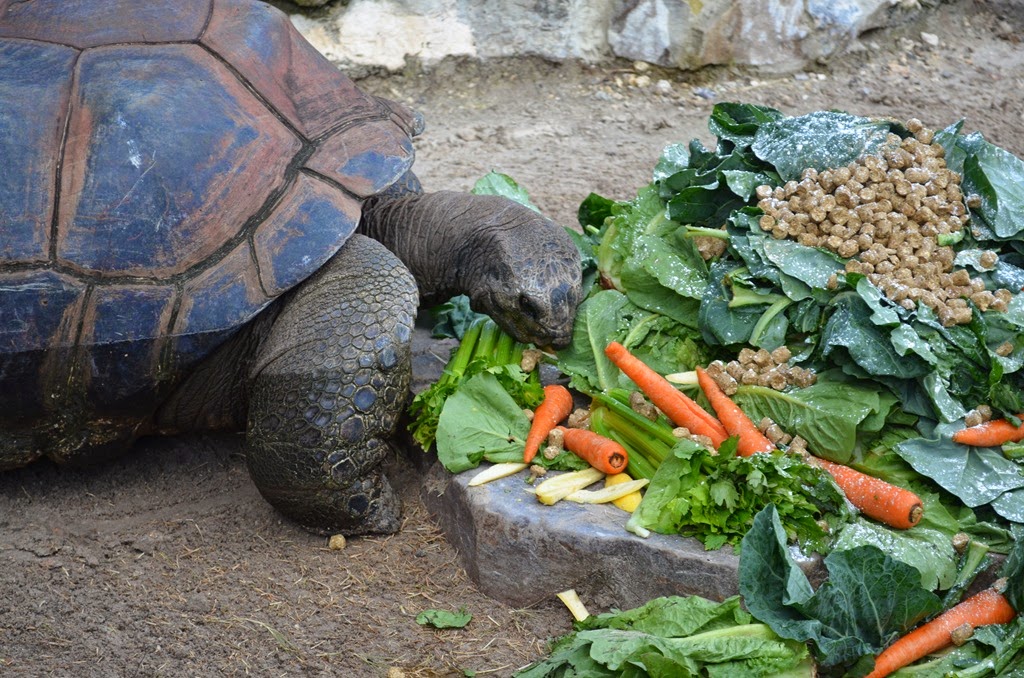 [DSC_8773%255B3%255D.jpg]