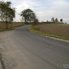 dsc06382.jpg