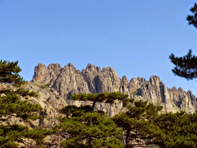 P1000209.JPG