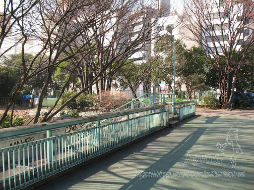 愛内里菜 の掲示板投稿写真＆画像