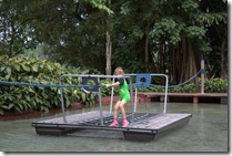 IMG_0177 IMG_0177