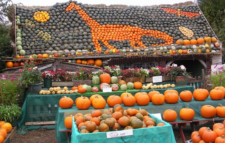 slindon-pumpkin-festival-2