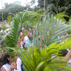 Caminhada de Ramos 2011
