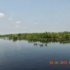DSCN8146.JPG