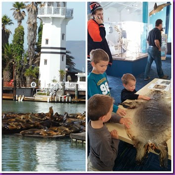 Pier 39 Pier 39
