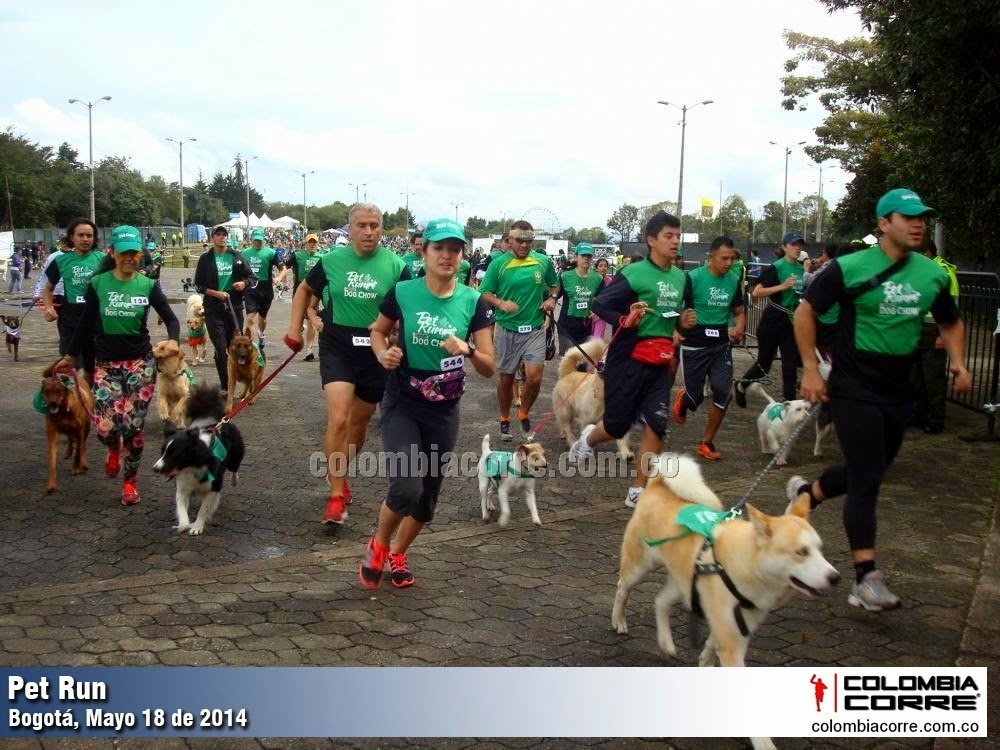 pet run bogota 2014