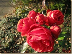 IMG_0002