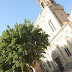Campanar de Santa Maria i vistes de la plaça