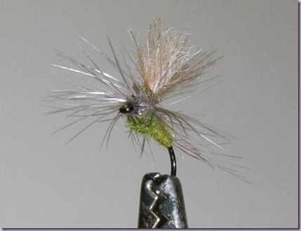 clip_image024 clip_image024
