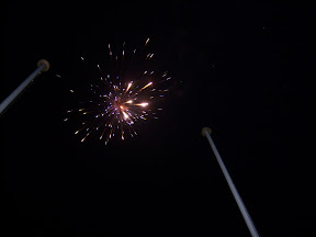100_2433.JPG