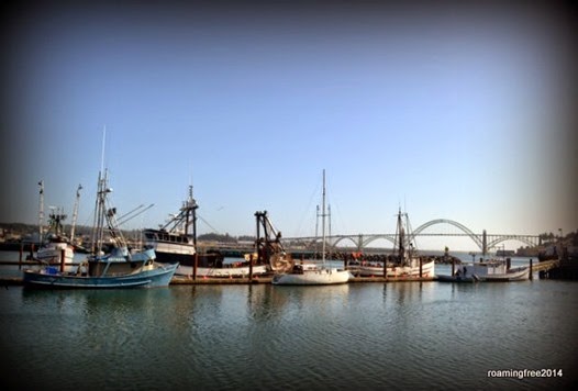 Yaquina Bay